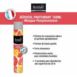 DESODORISANT MANGUE...